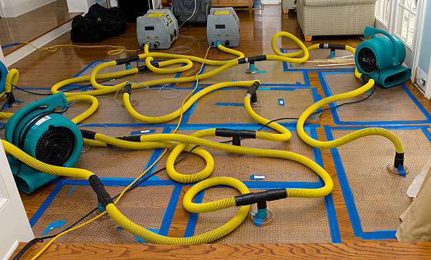 Professional Basement Flood Cleanup technician working in Cedar Hill, TX